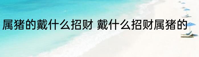 属猪的戴什么招财 戴什么招财属猪的