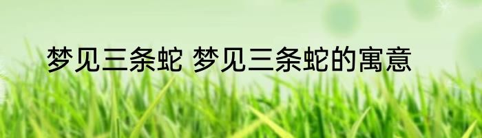 梦见三条蛇 梦见三条蛇的寓意