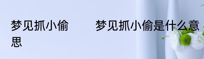 梦见抓小偷 　　梦见抓小偷是什么意思