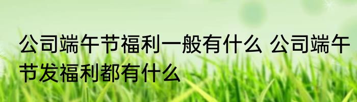 公司端午节福利一般有什么 公司端午节发福利都有什么