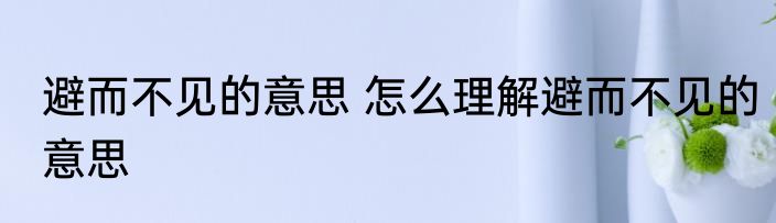 避而不见的意思 怎么理解避而不见的意思