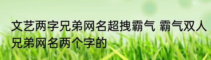 文艺两字兄弟网名超拽霸气 霸气双人兄弟网名两个字的