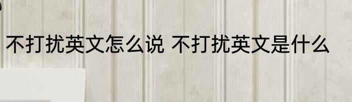 不打扰英文怎么说 不打扰英文是什么