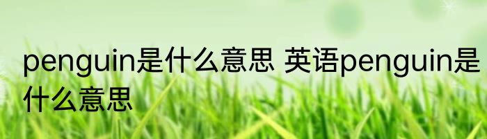 penguin是什么意思 英语penguin是什么意思