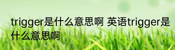 trigger是什么意思啊 英语trigger是什么意思啊