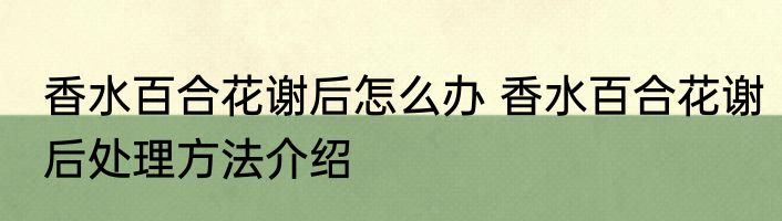 香水百合花谢后怎么办 香水百合花谢后处理方法介绍