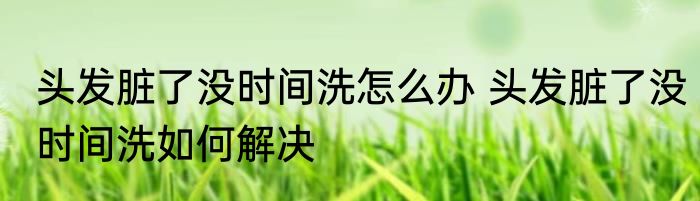 头发脏了没时间洗怎么办 头发脏了没时间洗如何解决
