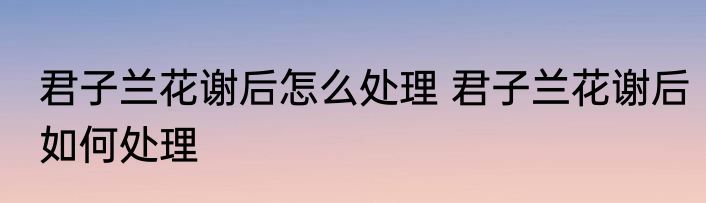 君子兰花谢后怎么处理 君子兰花谢后如何处理
