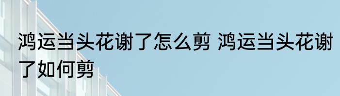 鸿运当头花谢了怎么剪 鸿运当头花谢了如何剪