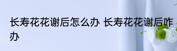 长寿花花谢后怎么办 长寿花花谢后咋办
