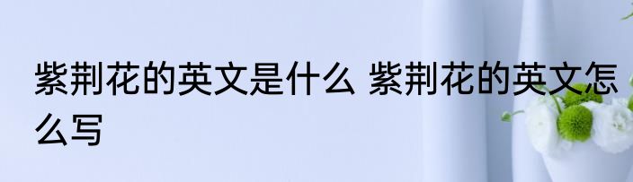 紫荆花的英文是什么 紫荆花的英文怎么写