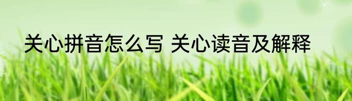 关心拼音怎么写 关心读音及解释