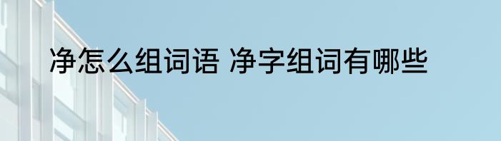 净怎么组词语 净字组词有哪些