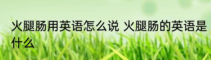 火腿肠用英语怎么说 火腿肠的英语是什么