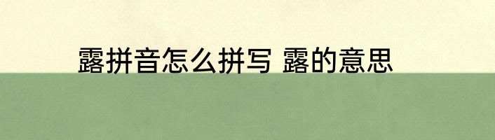 露拼音怎么拼写 露的意思