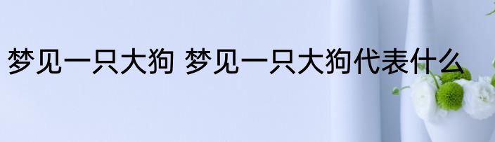 梦见一只大狗 梦见一只大狗代表什么