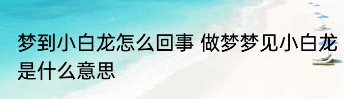 梦到小白龙怎么回事 做梦梦见小白龙是什么意思
