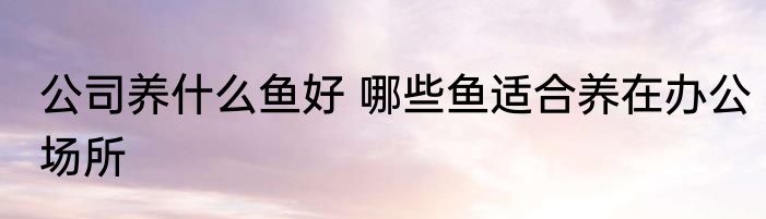 公司养什么鱼好 哪些鱼适合养在办公场所