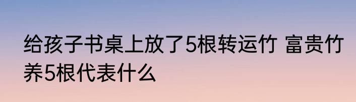 给孩子书桌上放了5根转运竹 富贵竹养5根代表什么