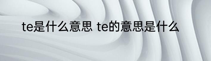 te是什么意思 te的意思是什么
