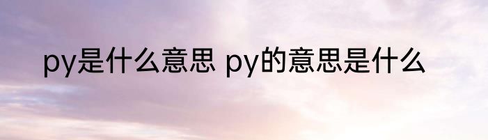py是什么意思 py的意思是什么