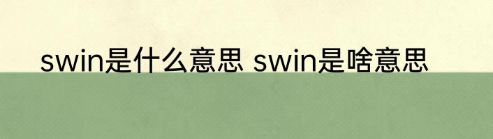 swin是什么意思 swin是啥意思