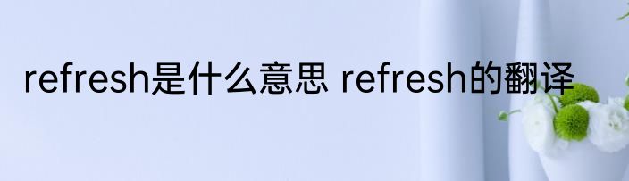 refresh是什么意思 refresh的翻译