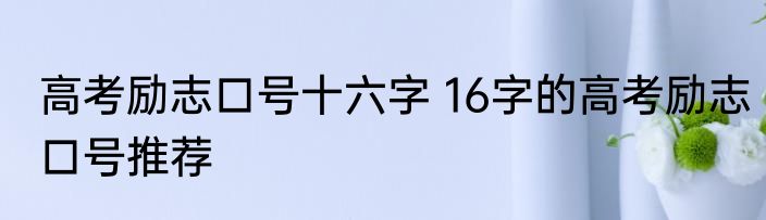 高考励志口号十六字 16字的高考励志口号推荐