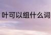 叶可以组什么词 汉字叶可以组什么词