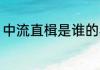 中流直楫是谁的典故 中流直楫的意思