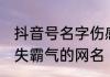 抖音号名字伤感又加霸气 伤感而又不失霸气的网名
