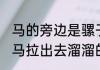 马的旁边是骡子是谁的典故 是骡还是马拉出去溜溜的意思是什么