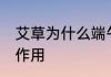 艾草为什么端午收割 艾草端午收割的作用
