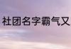社团名字霸气又文雅 好听的社团名字