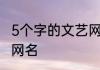 5个字的文艺网名 5个字好听有味道的网名