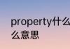 property什么意思 英语property什么意思
