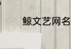 鲸文艺网名 带鲸唯美的网名