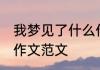 我梦见了什么作文 我梦见未来的自己作文范文