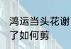 鸿运当头花谢了怎么剪 鸿运当头花谢了如何剪
