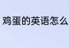鸡蛋的英语怎么写 鸡蛋的英语是什么