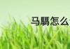 马騳怎么读 马騳的意思