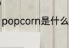 popcorn是什么意思 popcorn的翻译