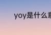 yoy是什么意思 yoy是啥意思