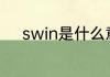 swin是什么意思 swin是啥意思