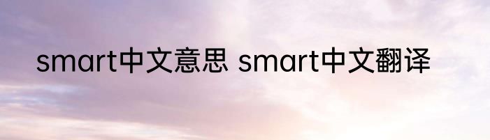 smart中文意思 smart中文翻译