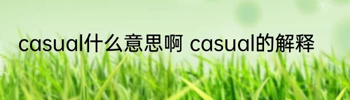 casual什么意思啊 casual的解释