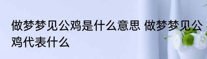 做梦梦见公鸡是什么意思 做梦梦见公鸡代表什么