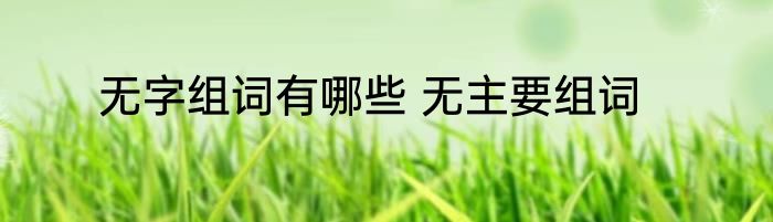 无字组词有哪些 无主要组词