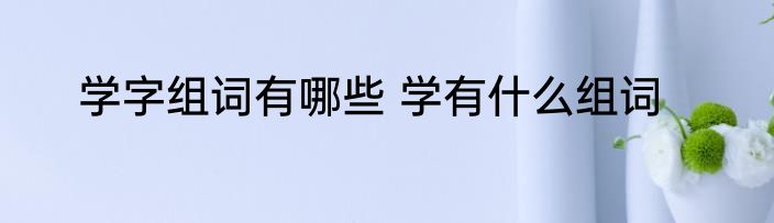 学字组词有哪些 学有什么组词