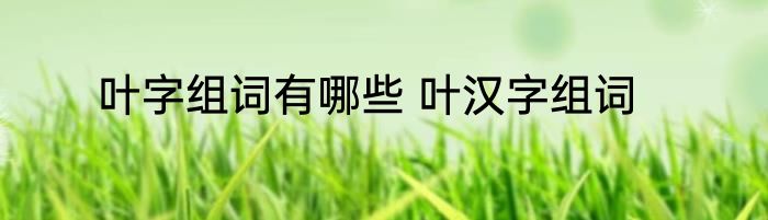 叶字组词有哪些 叶汉字组词